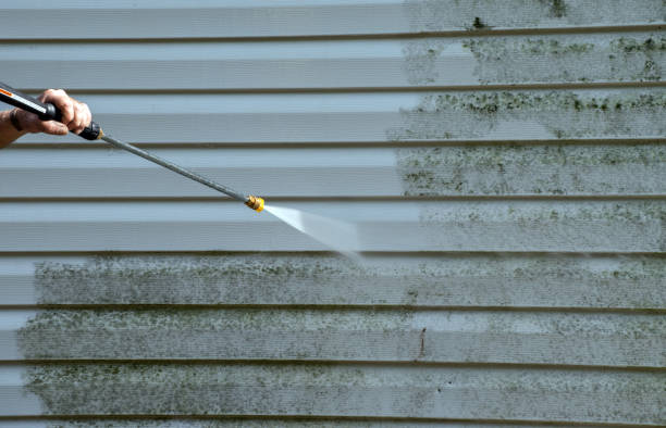 Best Driveway Cleaning and Restoration in Lehighton, PA